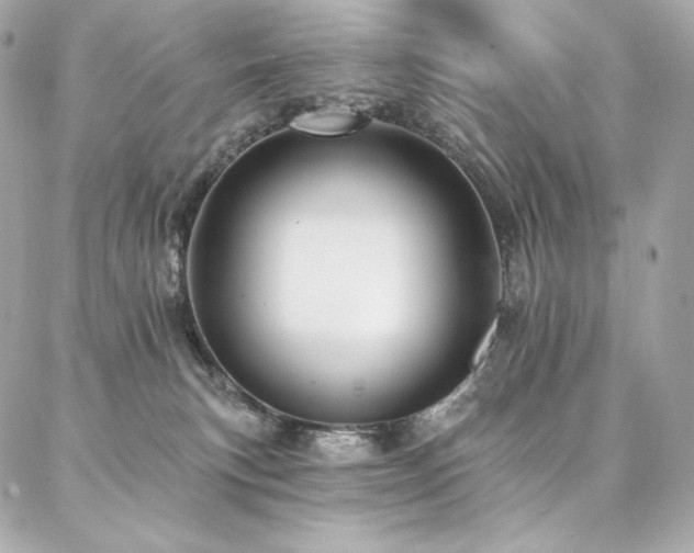 X0000087030183200704161620