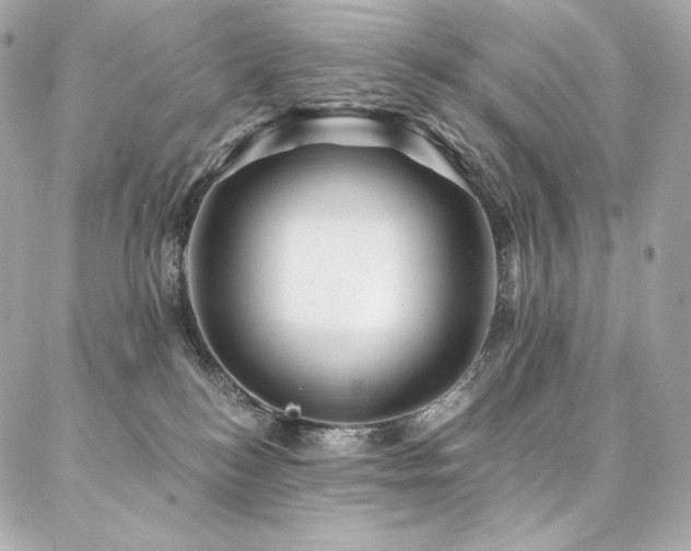 X0000087030184200704161620
