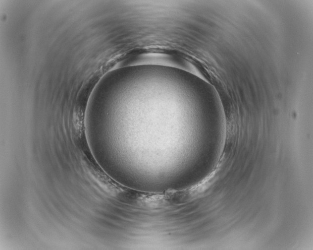 X0000087030186200704161620