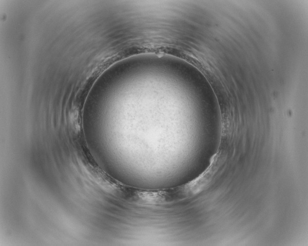 X0000087030187200704161620