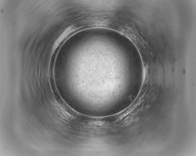 X0000087030195200704161619
