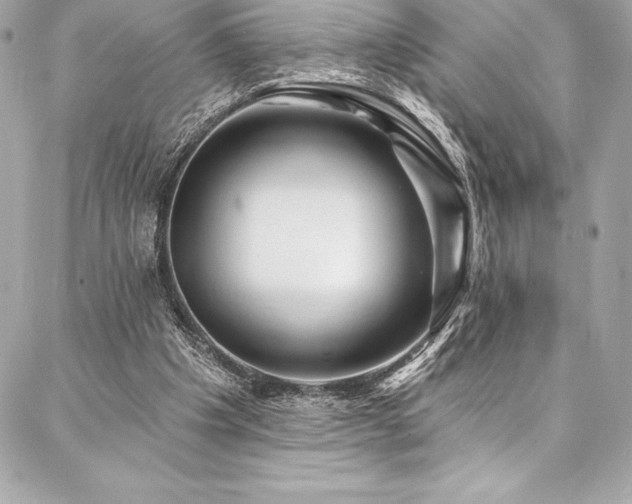 X0000087030201200704161619