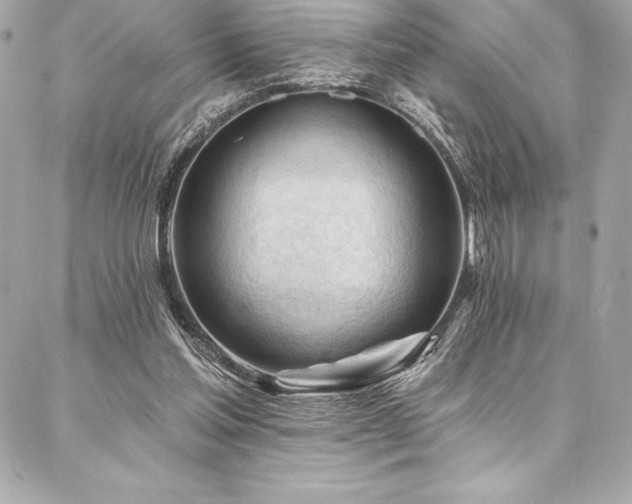 X0000087030205200704161619