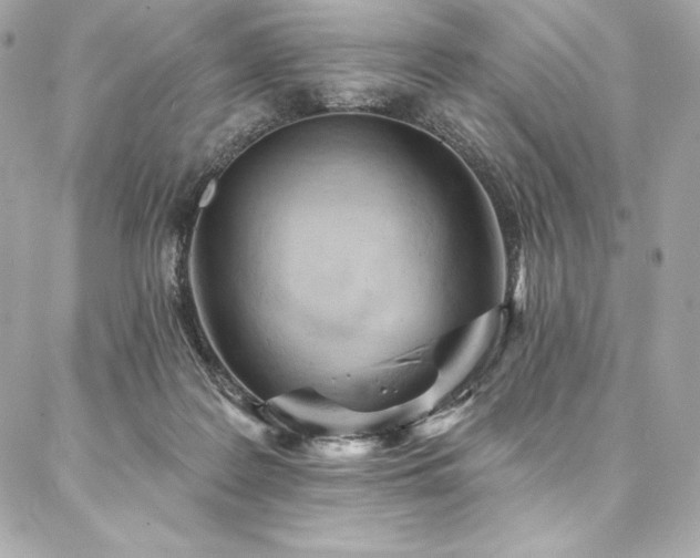 X0000087030219200704161619