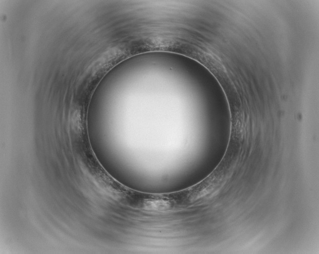 X0000087030220200704161619
