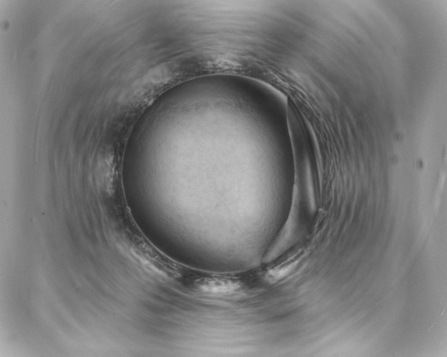 X0000087030223200704161618