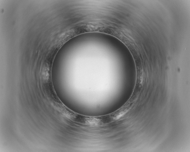 X0000087030226200704161618