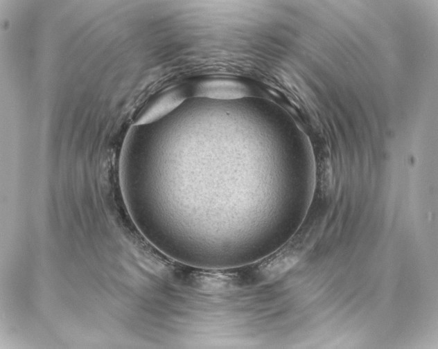 X0000087030229200704161618