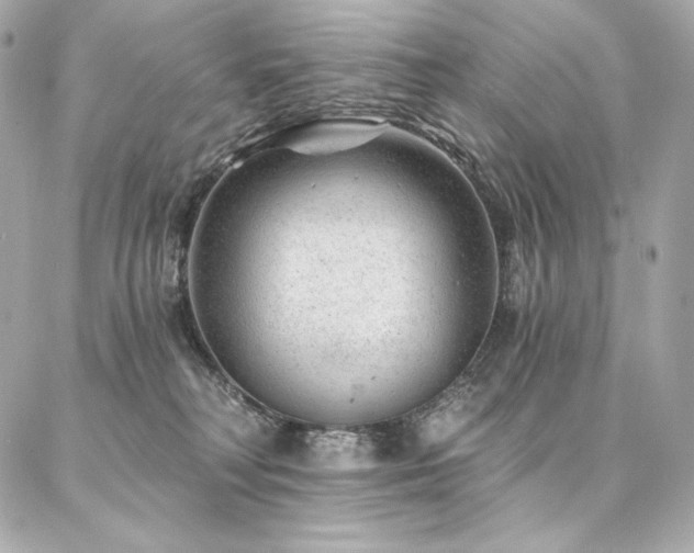 X0000087030230200704161618