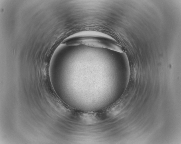 X0000087030232200704161618