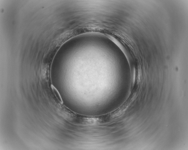 X0000087030233200704161618