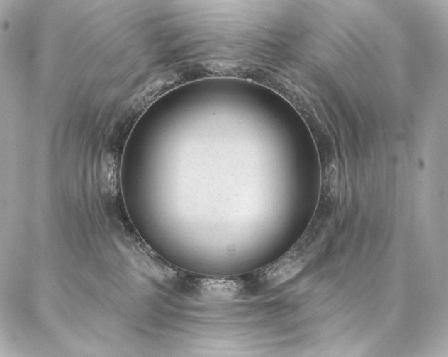 X0000087030234200704161618