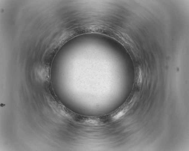 X0000087030236200704161618