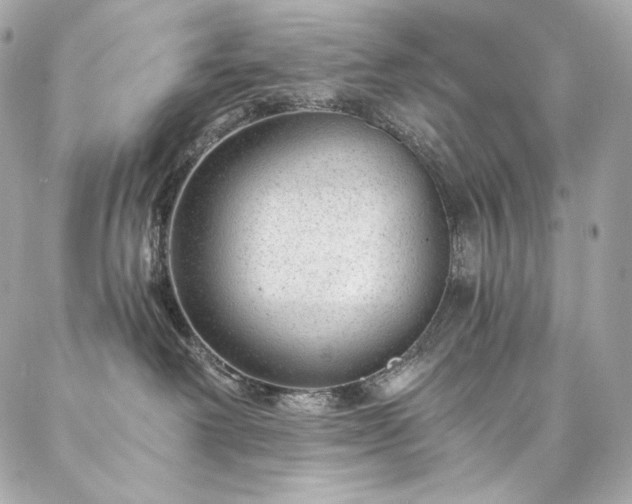 X0000087030238200704161618