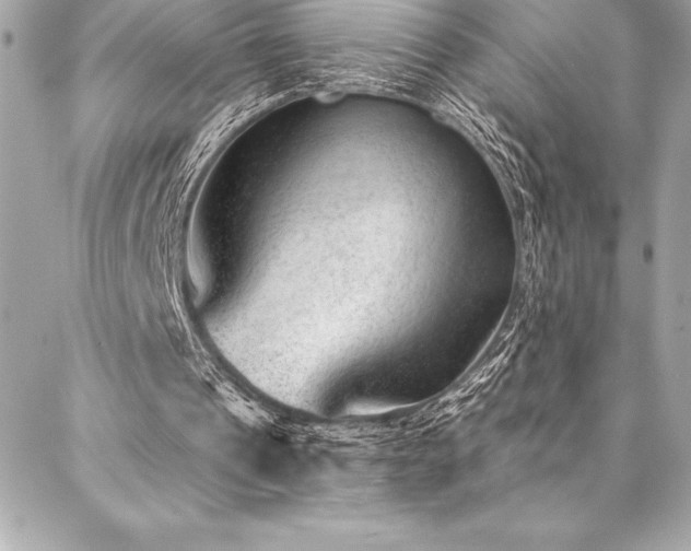 X0000087030241200704161617