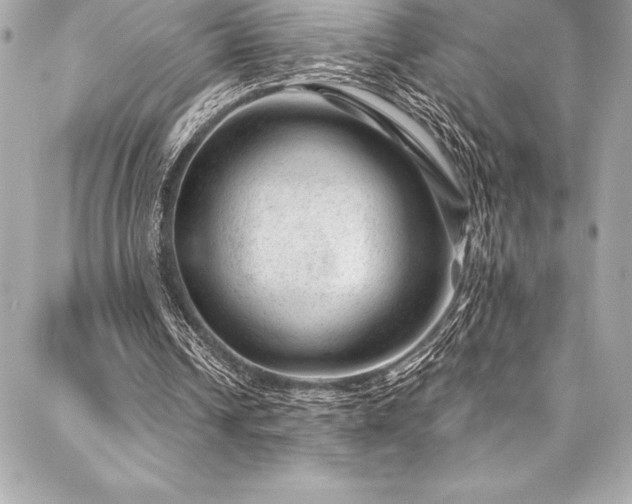 X0000087030242200704161617