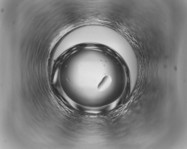 X0000087030244200704161617