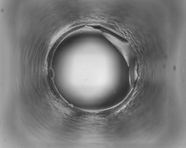 X0000087030246200704161617
