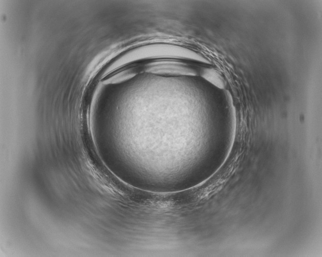 X0000087030247200704161618