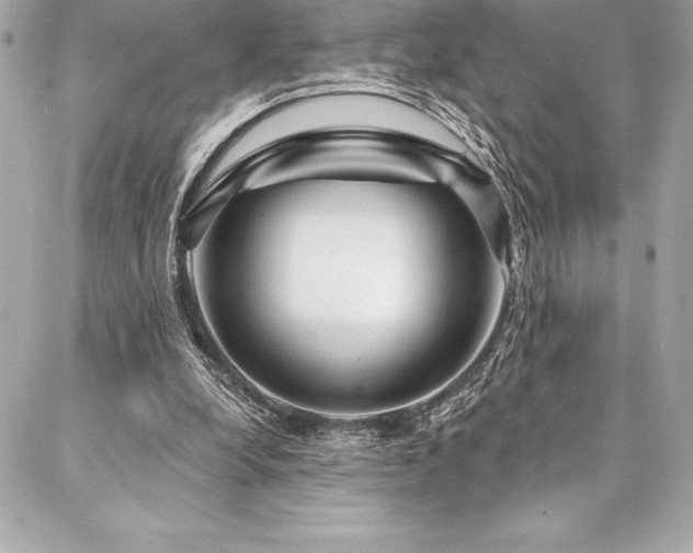 X0000087030248200704161618