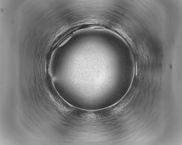 X0000087030253200704161618