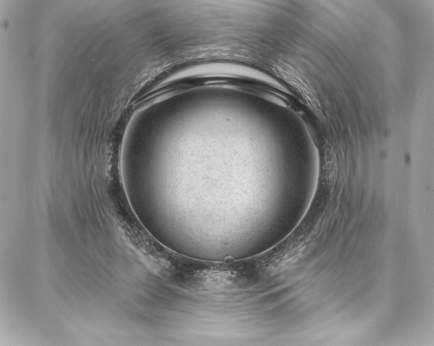 X0000087030255200704161618