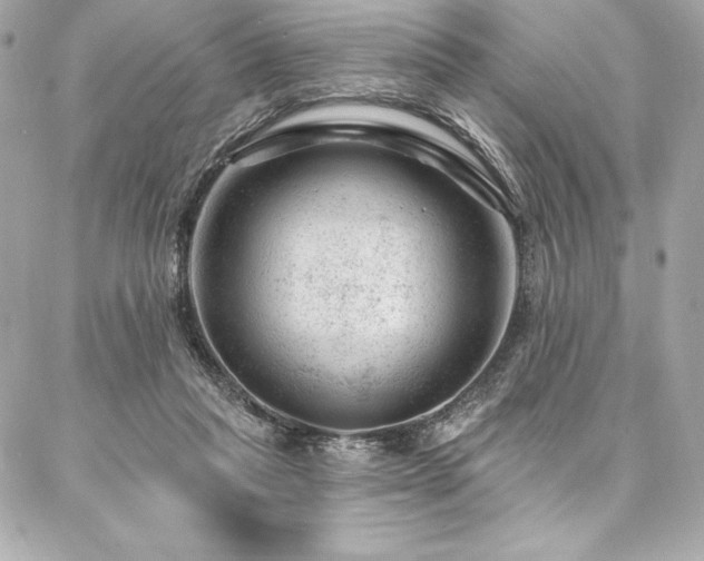X0000087030261200704161618