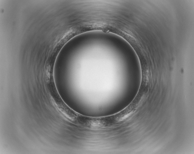 X0000087030264200704161618