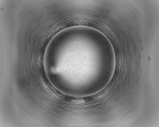 X0000087030266200704161618
