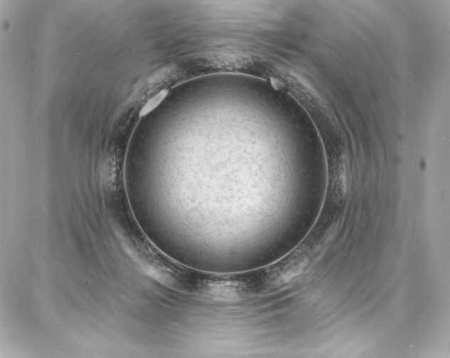 X0000087030268200704161618
