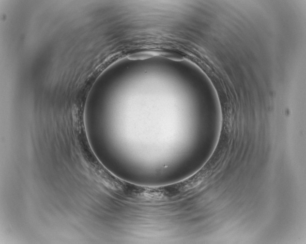 X0000087030270200704161618