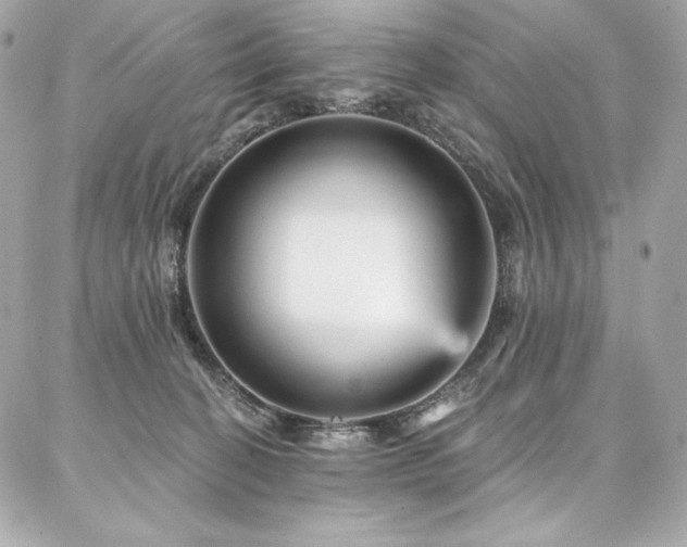 X0000087030274200704161618