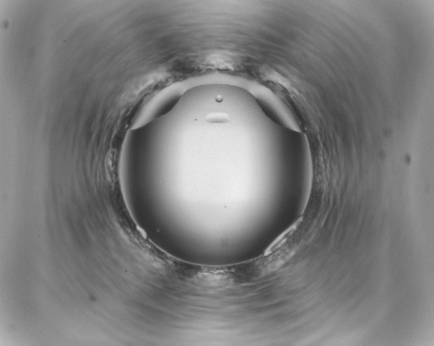 X0000087030280200704161618