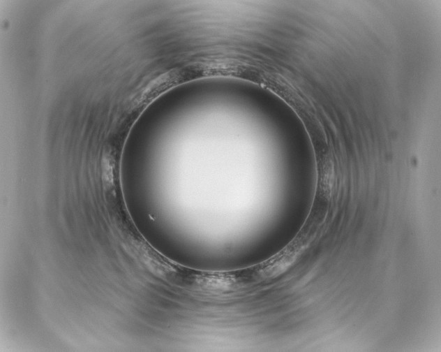 X0000087030282200704161618