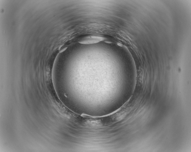 X0000087030283200704161618