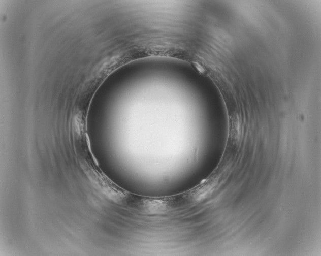X0000087030287200704161618