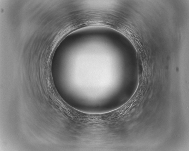 X0000087030289200704161617