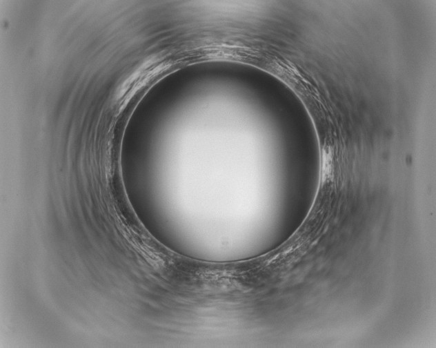 X0000087030291200704161617
