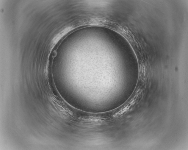 X0000087030292200704161617