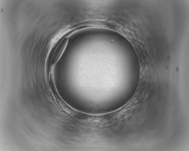 X0000087030294200704161617
