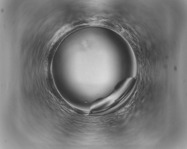 X0000087030295200704161617