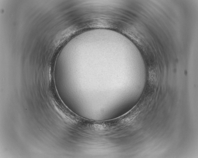 X0000087030302200704161617