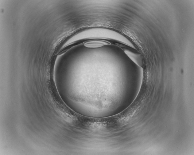 X0000087030303200704161617
