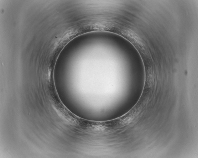 X0000087030310200704161617