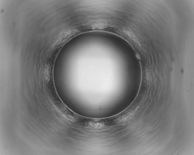 X0000087030311200704161617