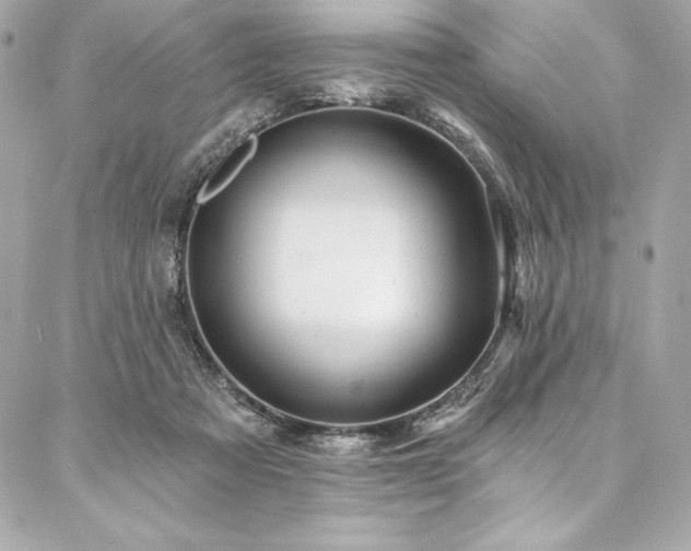 X0000087030313200704161617