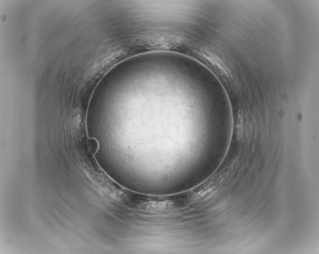 X0000087030314200704161617