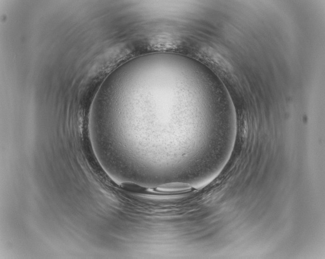X0000087030315200704161617