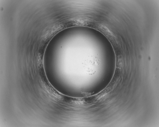 X0000087030318200704161617