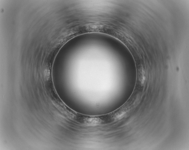 X0000087030324200704161617